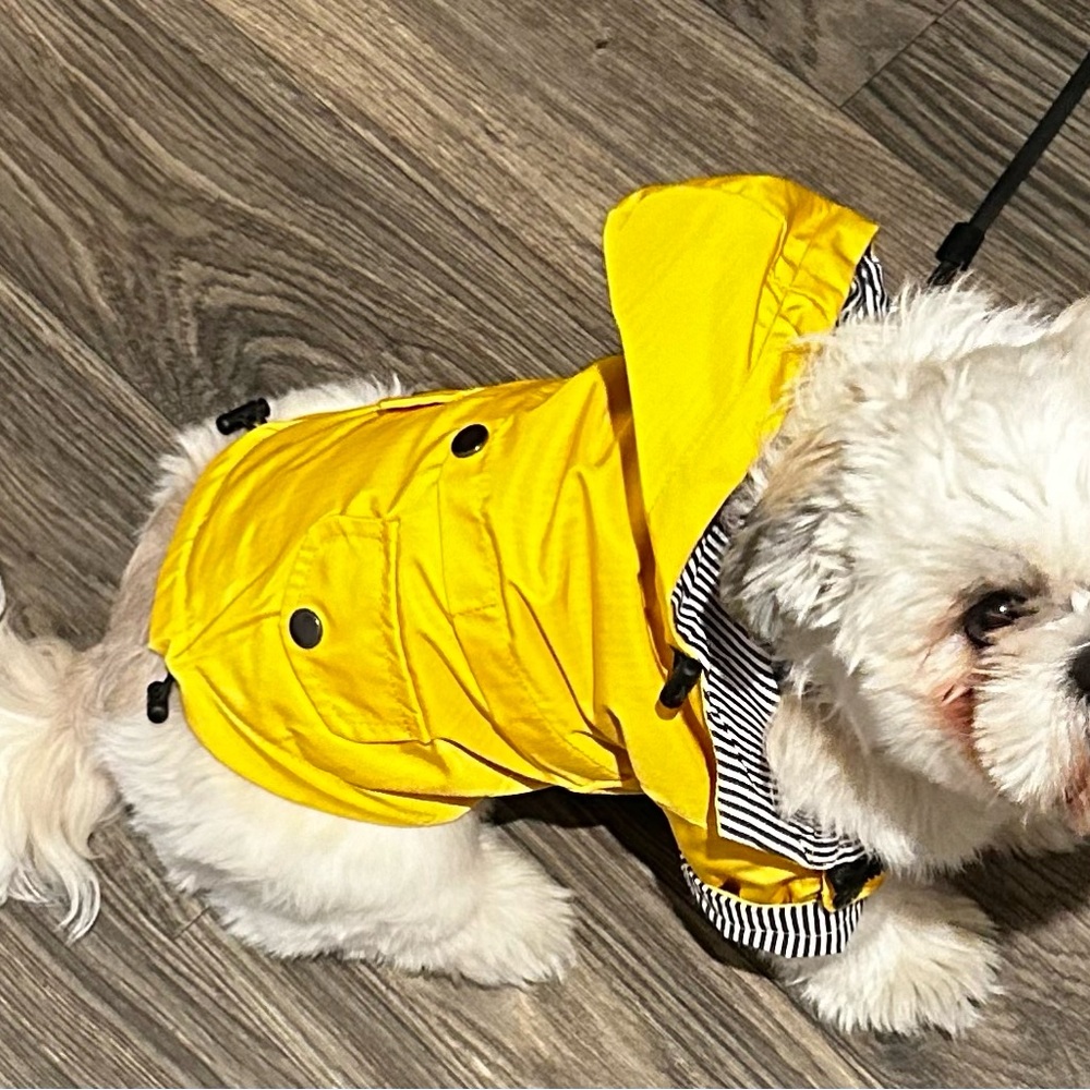 Yellow raincoat, with snaps, zipper and hood. Size M